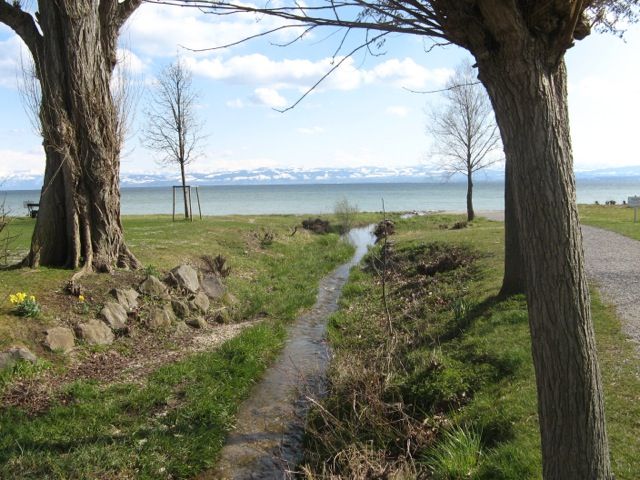 Immenstaad Fahrrad